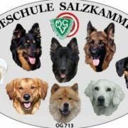 (c) Hundeschule-salzkammergut.at